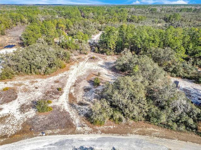 GOODSTONE DRIVE, Webster, FL 33597