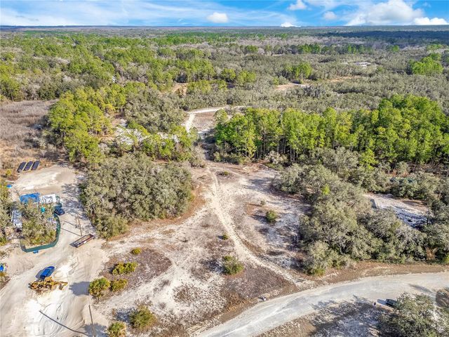 GOODSTONE DRIVE, Webster, FL 33597