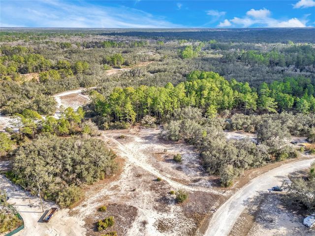 GOODSTONE DRIVE, Webster, FL 33597