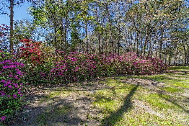 6047 Sc-165, Ravenel, SC 29470