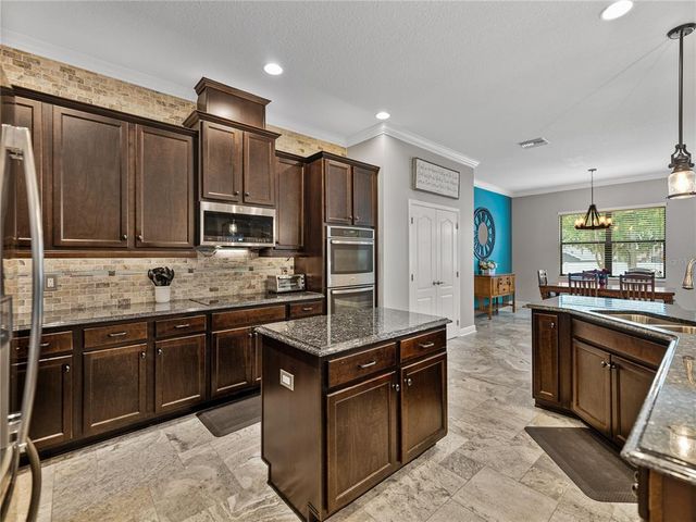 3509 STARLING ESTATES COURT, Valrico, FL 33596