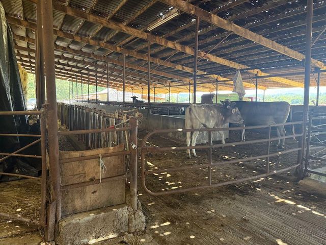 6181 Lower River Road, Grants Pass, OR 97526