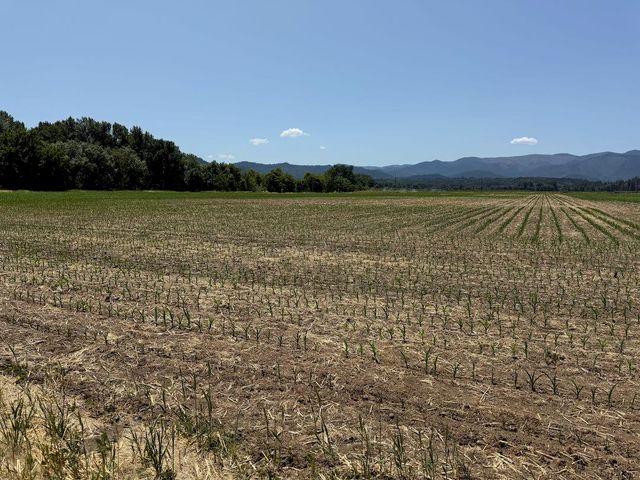 6181 Lower River Road, Grants Pass, OR 97526