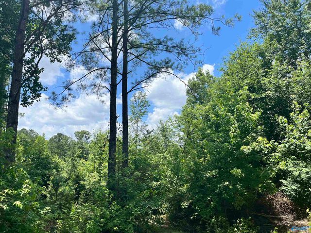590 Blanton Road, Gadsden, AL 35904