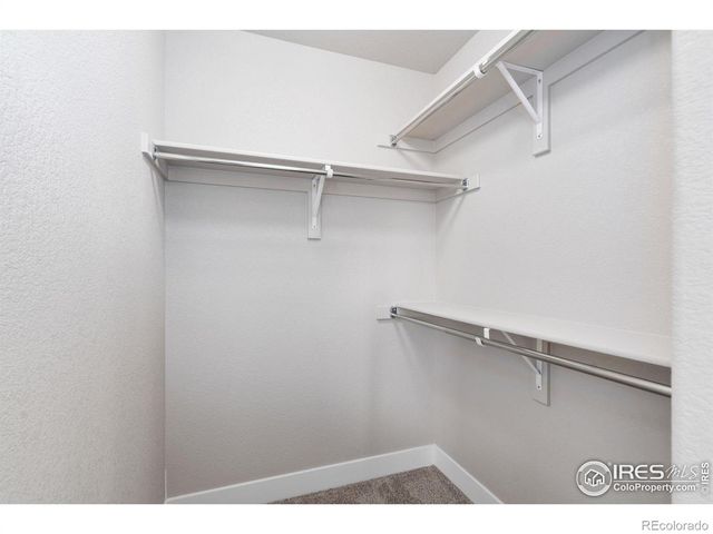 7186 Feather Reed Drive, Wellington, CO 80549