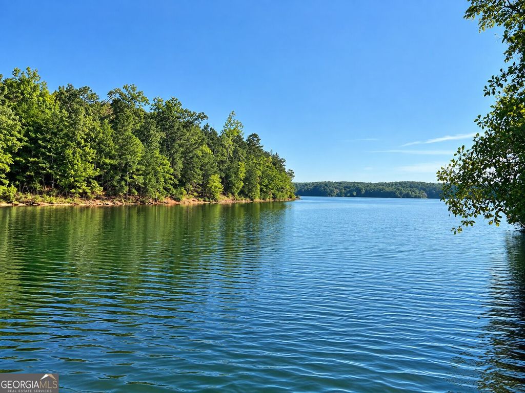 0 Bluff Road LOT 21, Elberton, GA 30635 — exterior