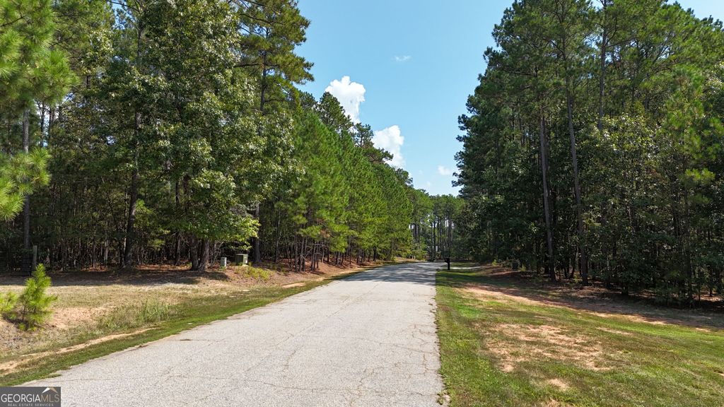 0 Bluff Road LOT 21, Elberton, GA 30635 — photo 4