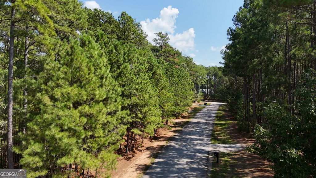 0 Bluff Road LOT 21, Elberton, GA 30635 — photo 5