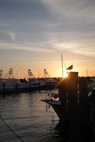 184 Lake Drive 4102, Palm Beach Shores, FL 33404