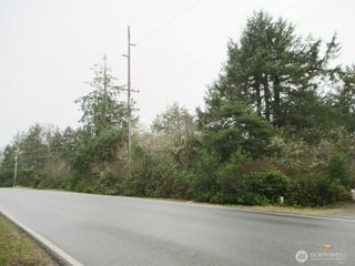 553 Dolphin Avenue NE, Ocean Shores, WA 98569