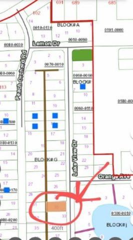 129 Lake View Dr, Pomona Park, FL 32181