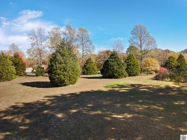 92 Timmons Lane, Gilbertsville, KY 42044