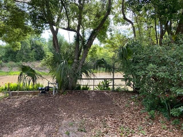 17499 HANNA ROAD, Lutz, FL 33549