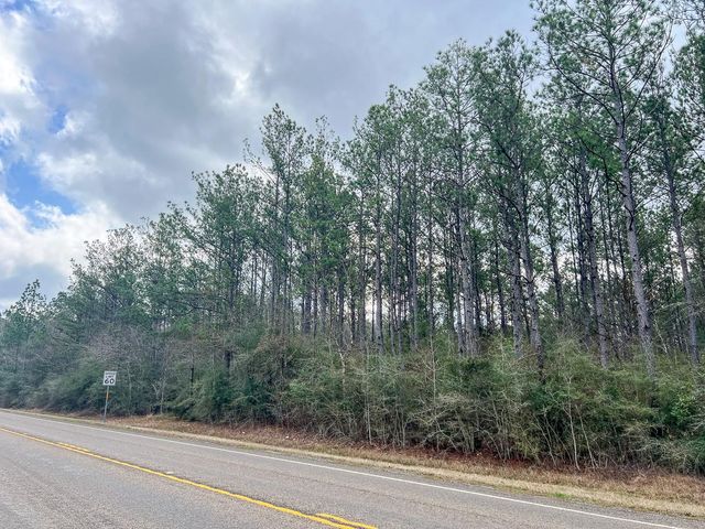 3 Fm 421, Lumberton, TX 77625