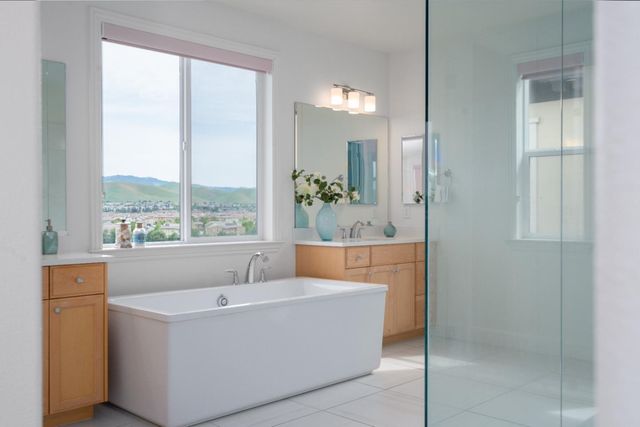 1195 Trumpet Vine Lane, San Ramon, CA 94582