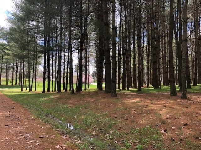 101 Lakeshore Drive, Russell Springs, KY 42642