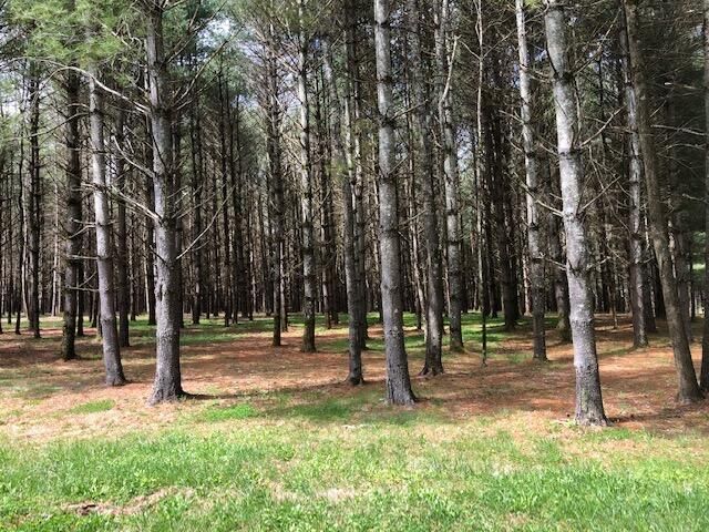 101 Lakeshore Drive, Russell Springs, KY 42642