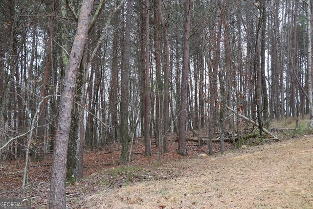 1217 Henderson Circle, Lyerly, GA 30730