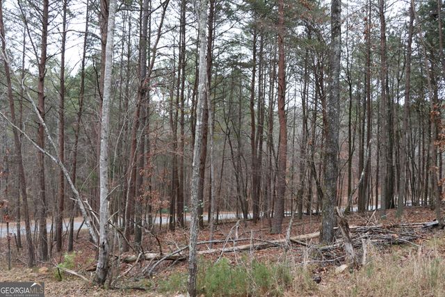 1217 Henderson Circle, Lyerly, GA 30730