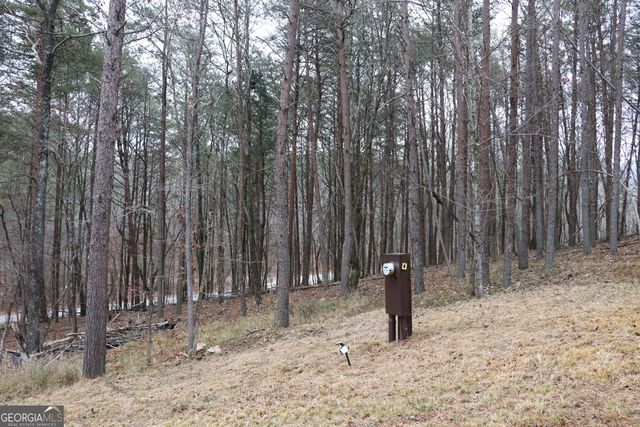 1217 Henderson Circle, Lyerly, GA 30730