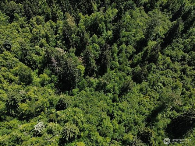 0 Wildrose Lane, Bow, WA 98232