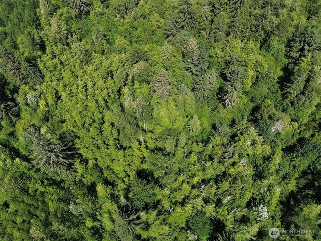 0 Wildrose Lane, Bow, WA 98232