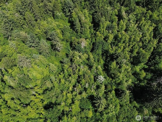 0 Wildrose Lane, Bow, WA 98232