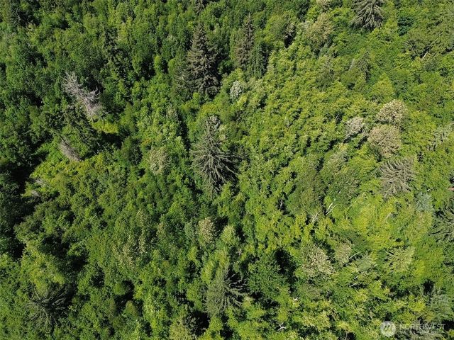 0 Wildrose Lane, Bow, WA 98232