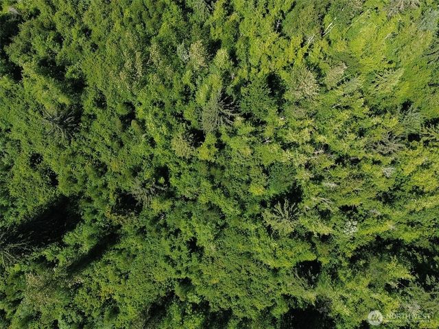 0 Wildrose Lane, Bow, WA 98232