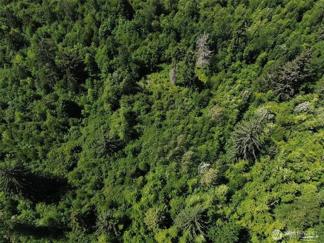 0 Wildrose Lane, Bow, WA 98232