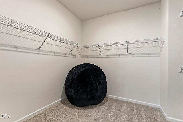 117 Raccoon Path, Holly Springs, NC 27540