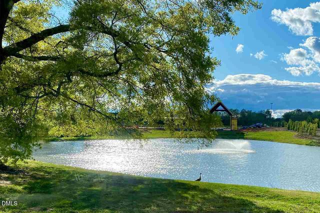 117 Raccoon Path, Holly Springs, NC 27540