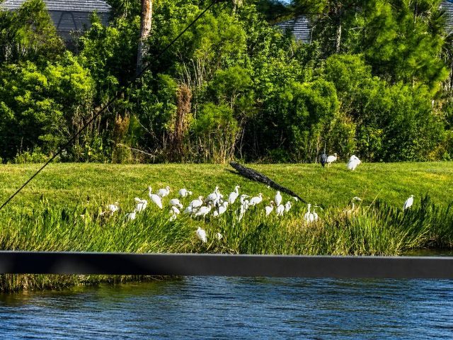 19110 MOSCATO COURT, Venice, FL 34293