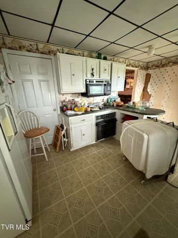14313 Sandy Ridge Road, Saint Paul, VA 24283