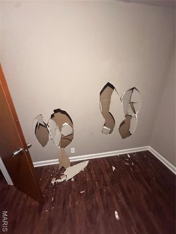 1124 Bakewell Drive, St Louis, MO 63137