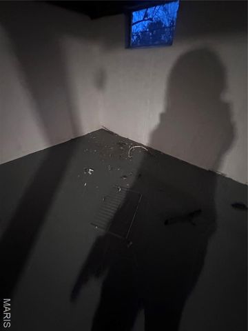 1124 Bakewell Drive, St Louis, MO 63137