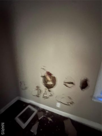 1124 Bakewell Drive, St Louis, MO 63137