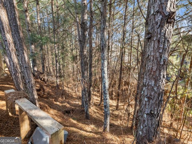 2939 Estate View Court, Dacula, GA 30019