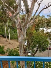 166 High Drive, Laguna Beach, CA 92651