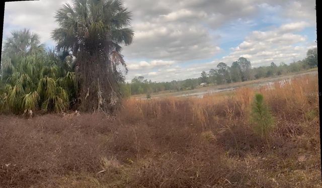 44750 MISTY ISLE DRIVE, Deland, FL 32720