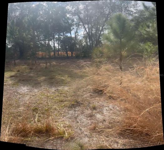 44750 MISTY ISLE DRIVE, Deland, FL 32720