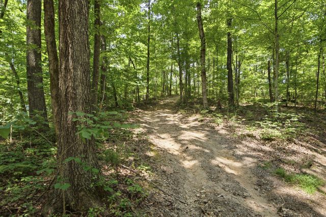 00 Pete Graham Road, Jasper, TN 37347