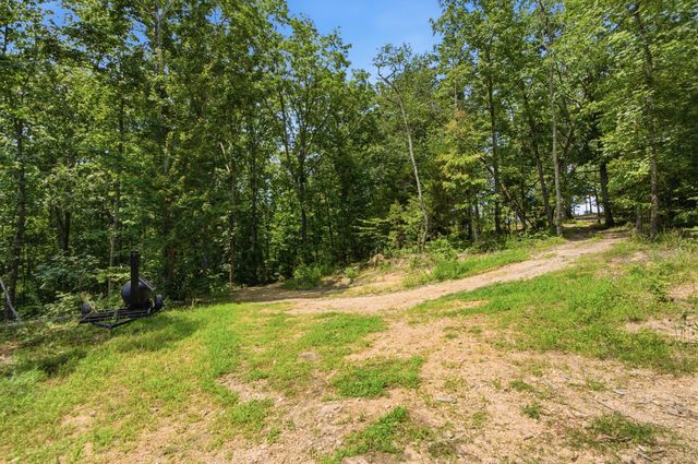 00 Pete Graham Road, Jasper, TN 37347