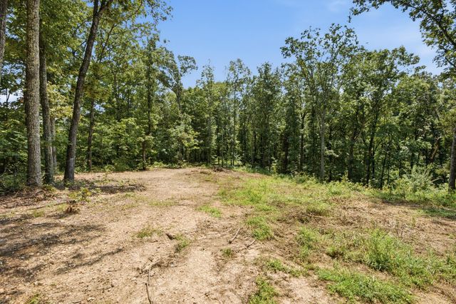 00 Pete Graham Road, Jasper, TN 37347