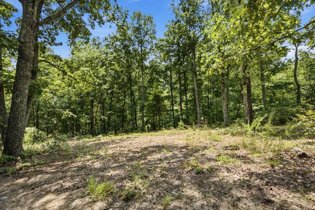 00 Pete Graham Road, Jasper, TN 37347