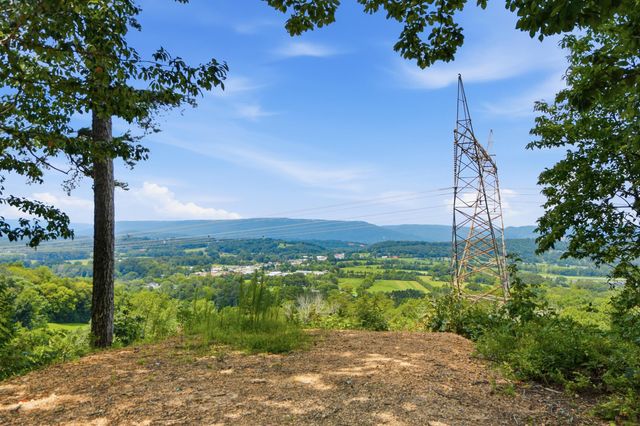 00 Pete Graham Road, Jasper, TN 37347