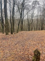 Lot 5 Blauser Lane, Parker Twp, PA 16050