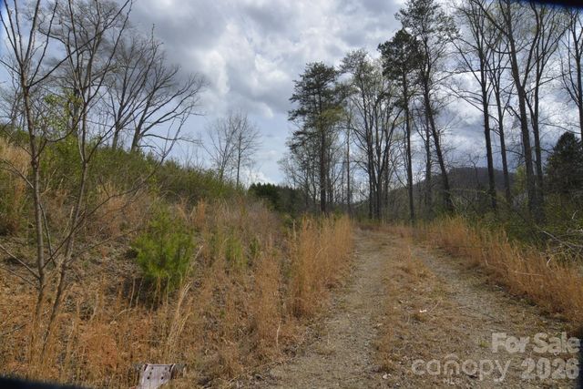535 Old Newfound Road, Leicester, NC 28748