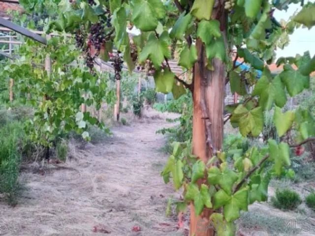 8209 Mesa, Santee, CA 92071