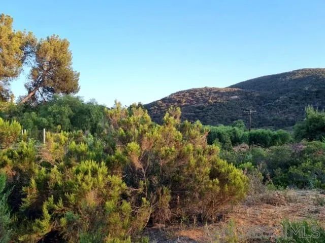 8209 Mesa, Santee, CA 92071